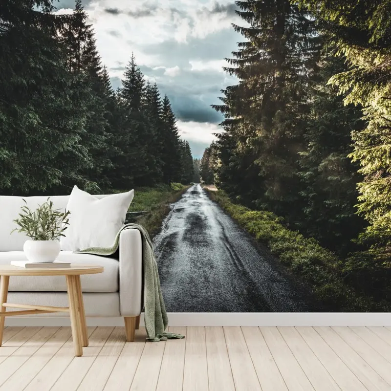 Fototapete waldweg durch neblige kiefern