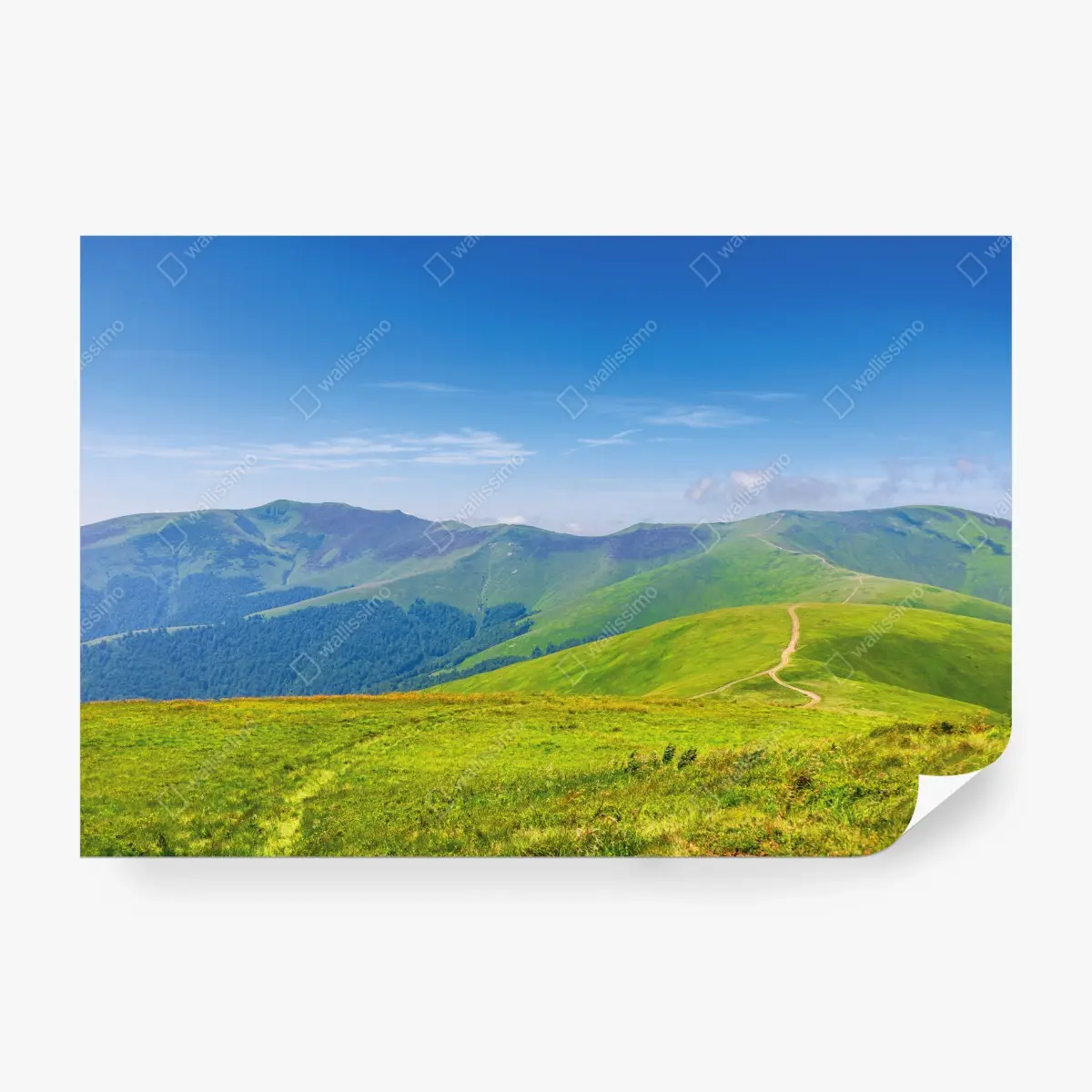 Fototapete sonnige Borzhava-wiese, Transkarpatien, Ukraine – Pixers®