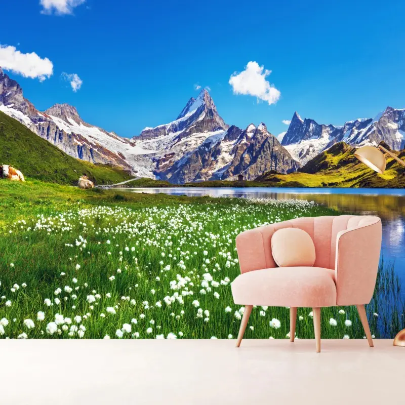 Fototapete alpensee mit blumenwiese und berggipfeln