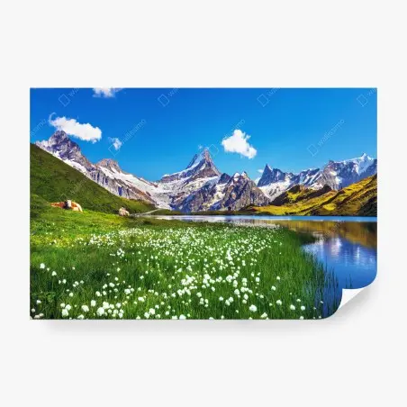 Fototapete alpensee mit blumenwiese und berggipfeln – Pixers®
