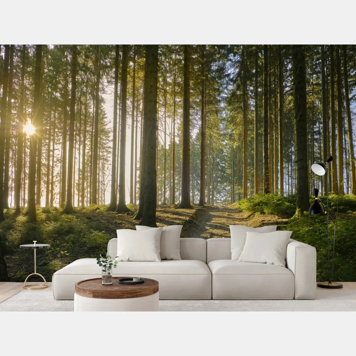 Fototapete sonniger waldweg im morgenlicht – Pixers®