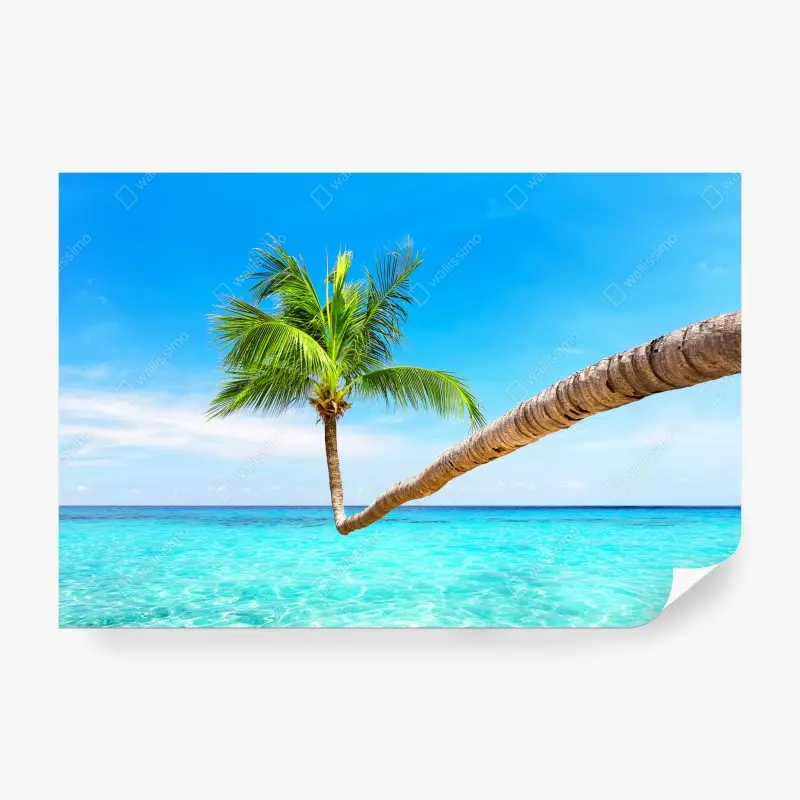 Fototapete tropische palme in Punta Cana