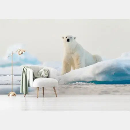 Fototapete eisbär auf eis in der Arktis, Svalbard – Pixers®