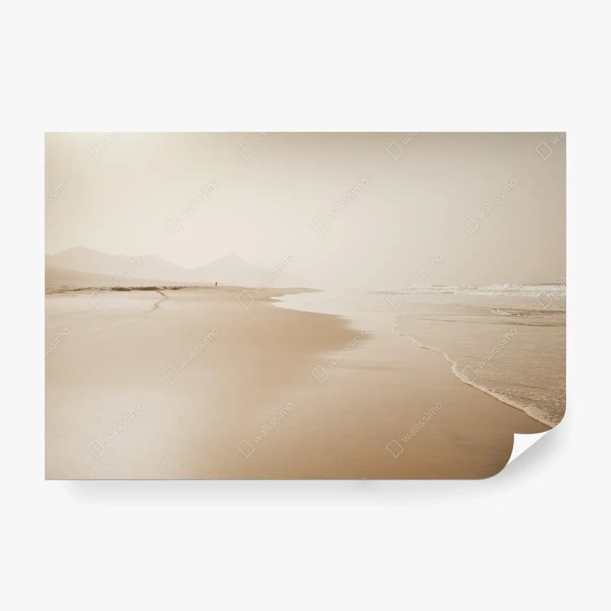 Fototapete ruhiger sepia strand – Pixers®