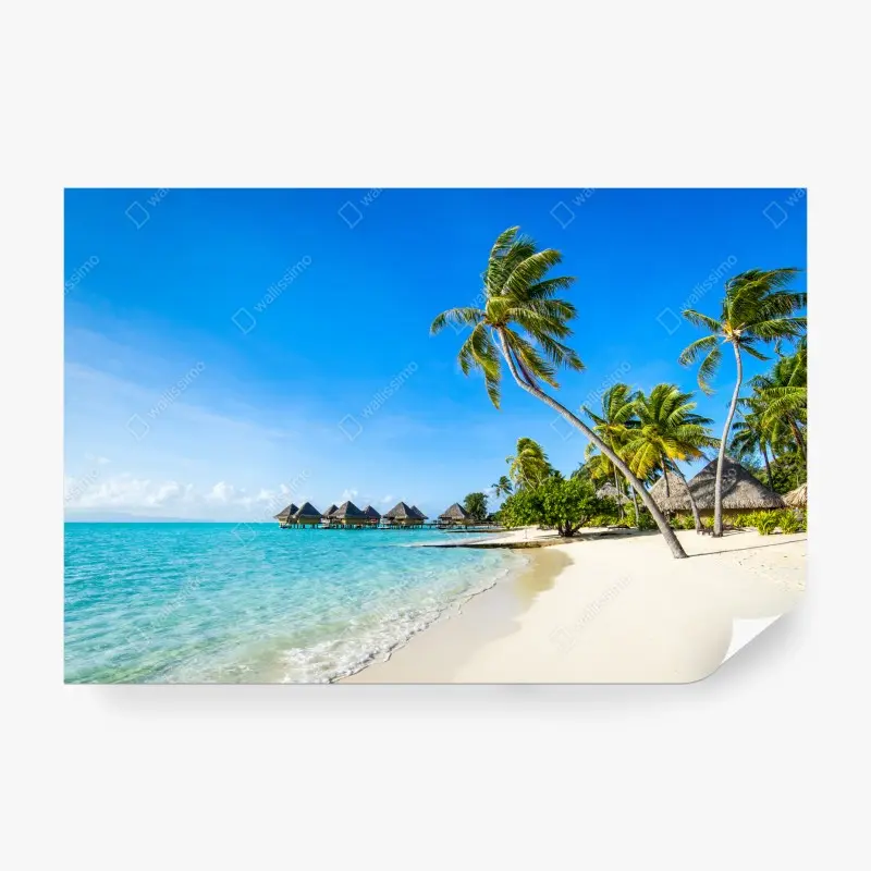 Fototapete tropischer türkisfarbener strand mit palmen
