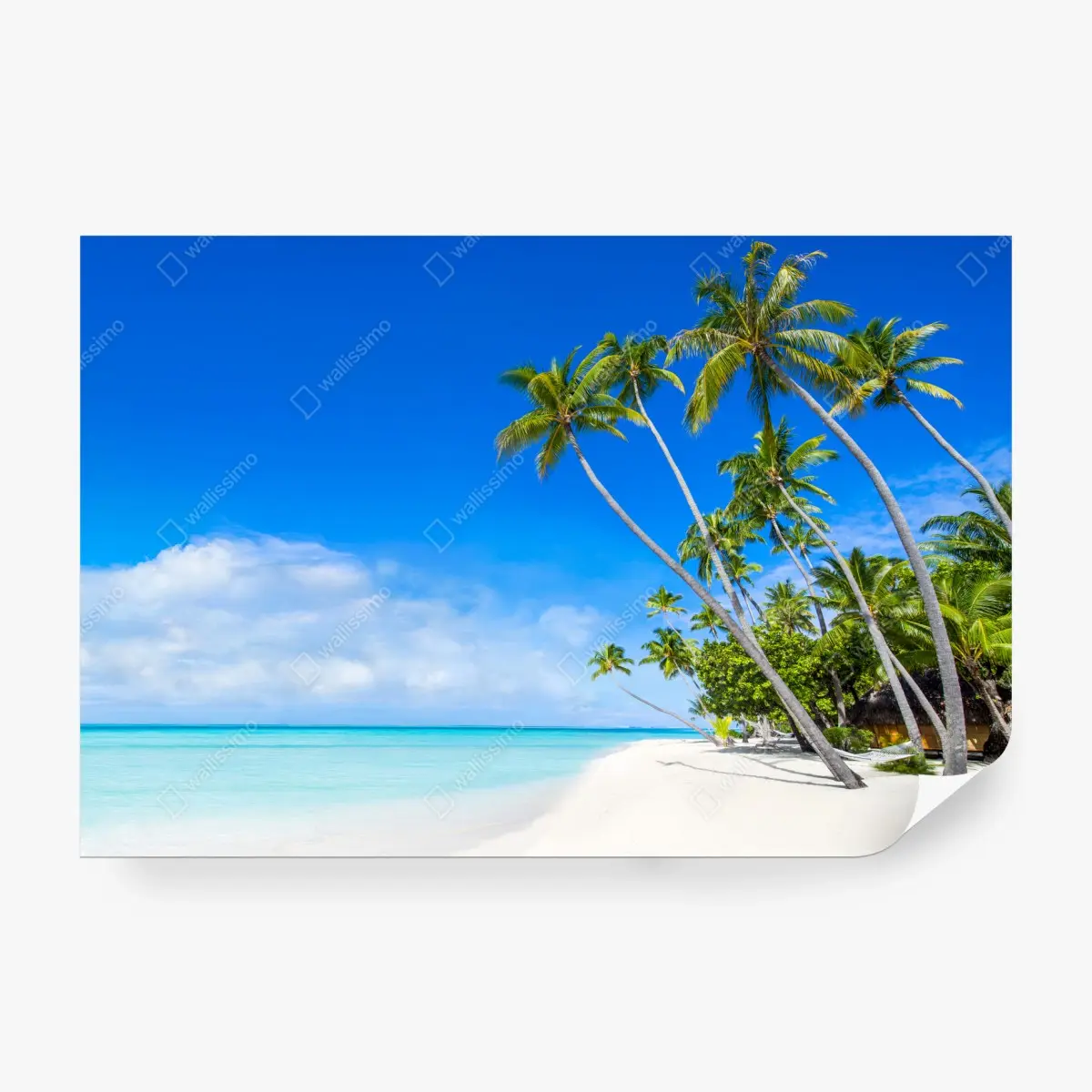 Fototapete tropischer palmenstrand – Pixers®