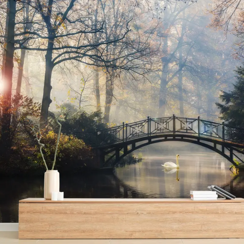 Fototapete neblige herbstbrücke mit schwan