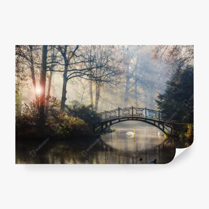 Fototapete neblige herbstbrücke mit schwan