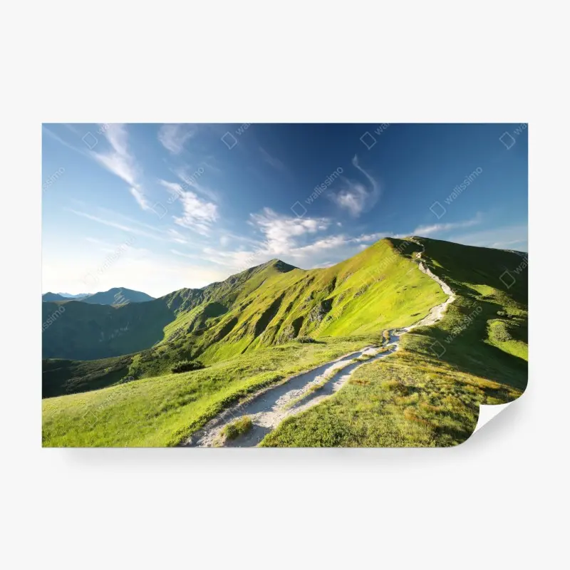 Fototapete sonnenbeschienener berggrat mit pfad