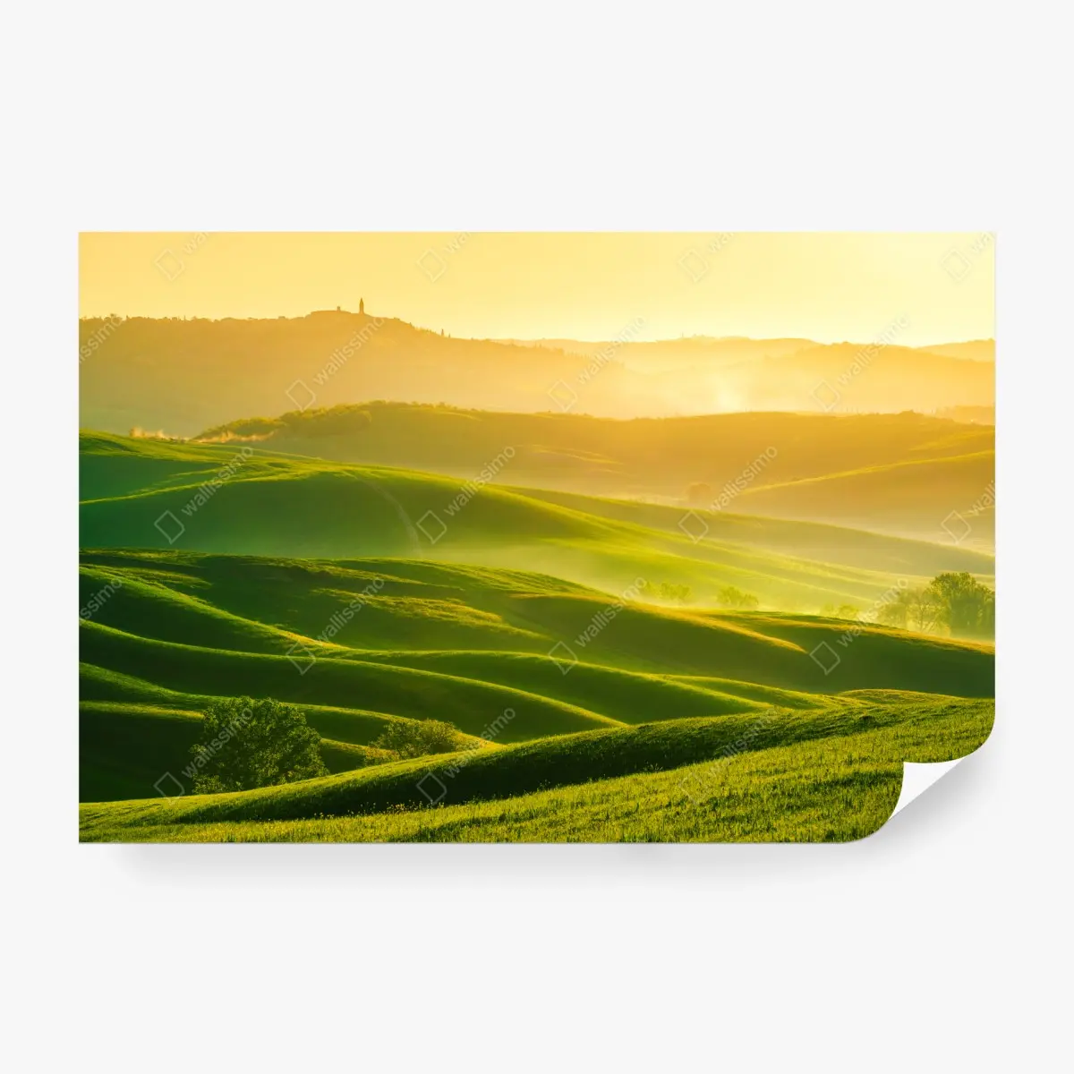 Fototapete goldener sonnenaufgang über sanften grünen hügeln – Pixers®