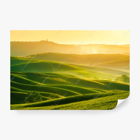 Fototapete goldener sonnenaufgang über sanften grünen hügeln – Pixers®