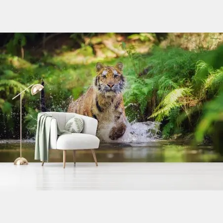 Fototapete majestätischer tiger im waldbach – Pixers®