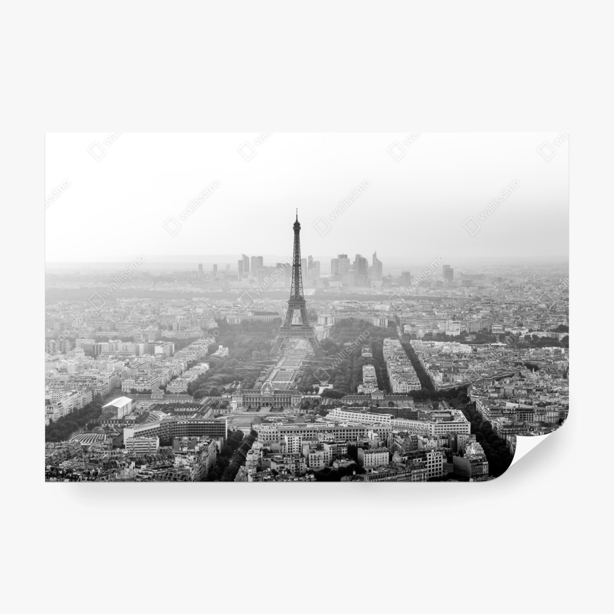 Fototapete elegante Eiffelturm luftaufnahme in graustufen – Pixers®