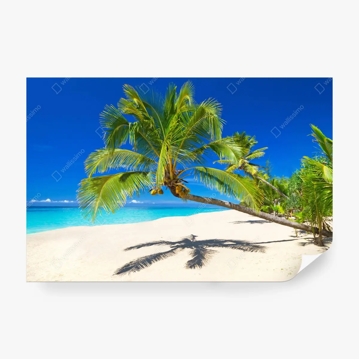 Fototapete Andamansee tropischer strand mit geneigter palme – Pixers®