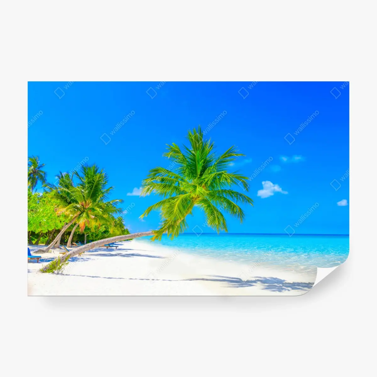 Fototapete traumhafte strandlandschaft auf den Malediven – Pixers®
