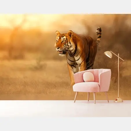 Fototapete majestätischer tiger im goldenen licht – Pixers®