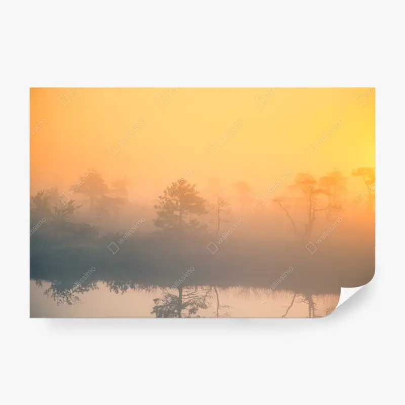 Fototapete träumerischer sonnenaufgang über nebligem moor