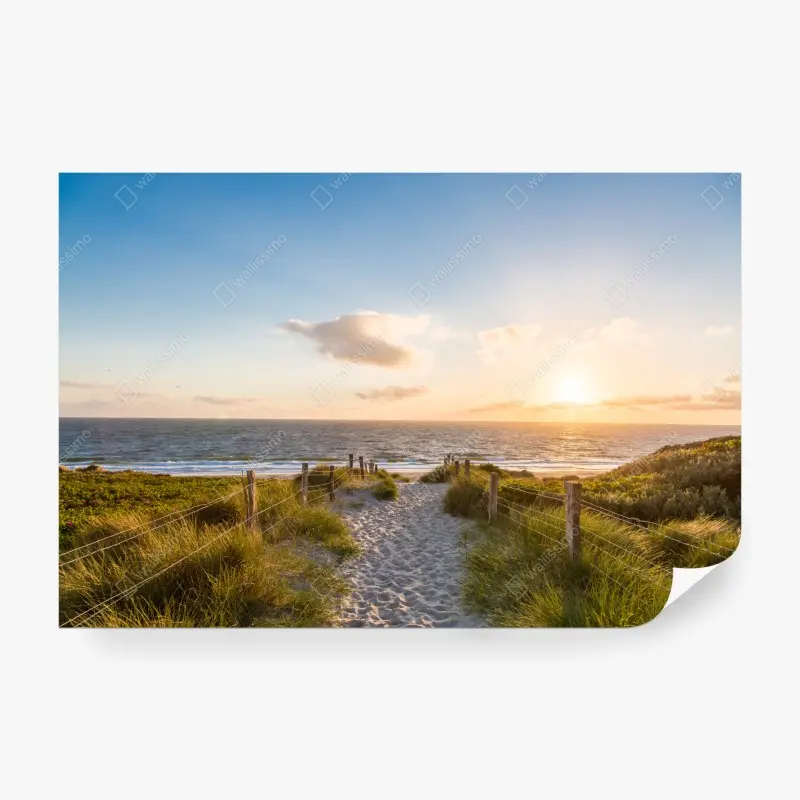 Fototapete sonnenbeschienener strandweg zum meer