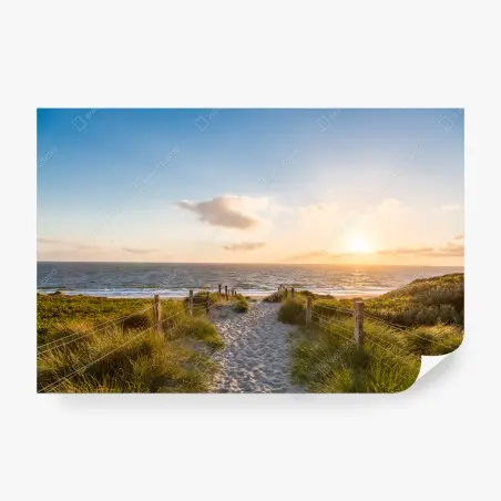 Fototapete sonnenbeschienener strandweg zum meer – Pixers®