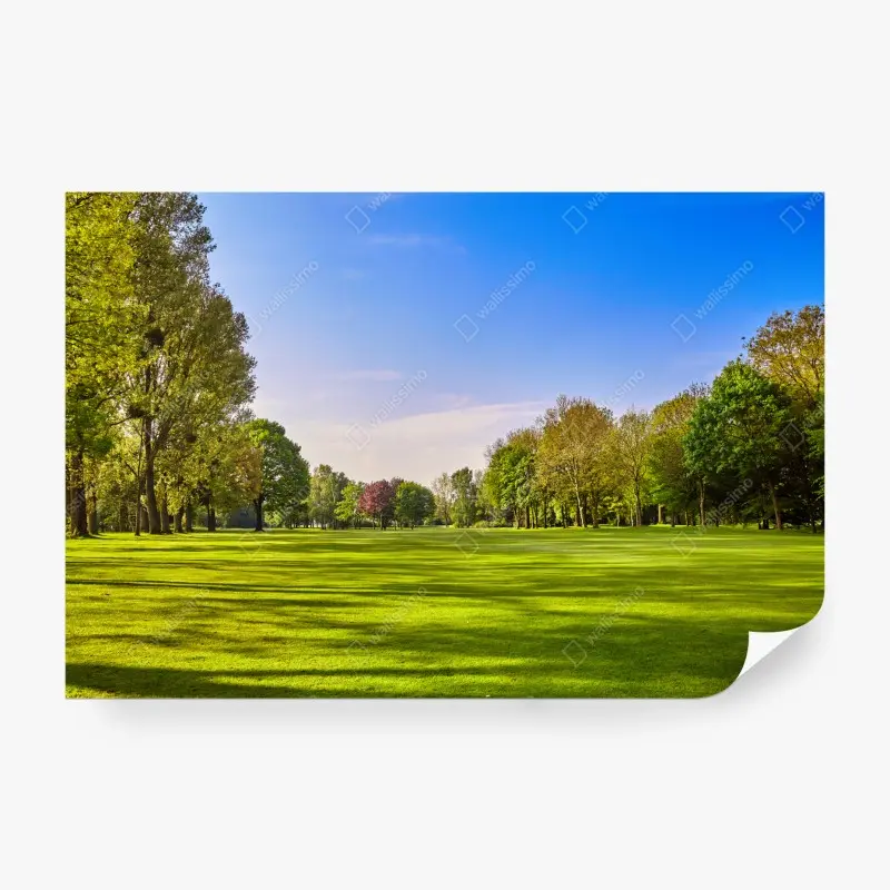 Fototapete sonnige panoramaaufnahme eines stadtparks