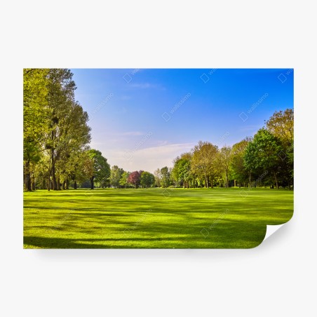 Fototapete sonnige panoramaaufnahme eines stadtparks – Pixers®