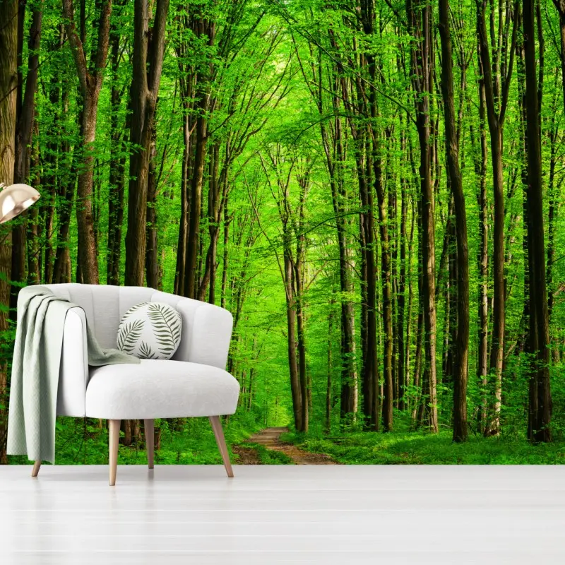 Fototapete üppiger grüner waldweg