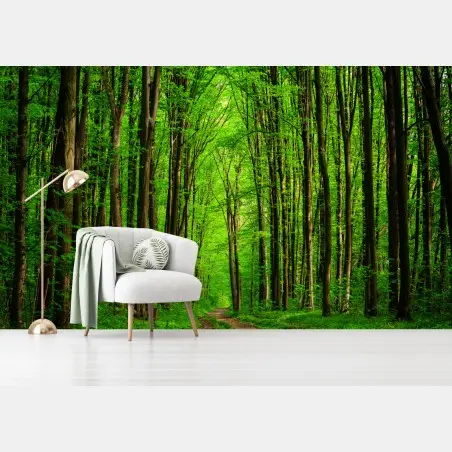 Fototapete üppiger grüner waldweg – Pixers®