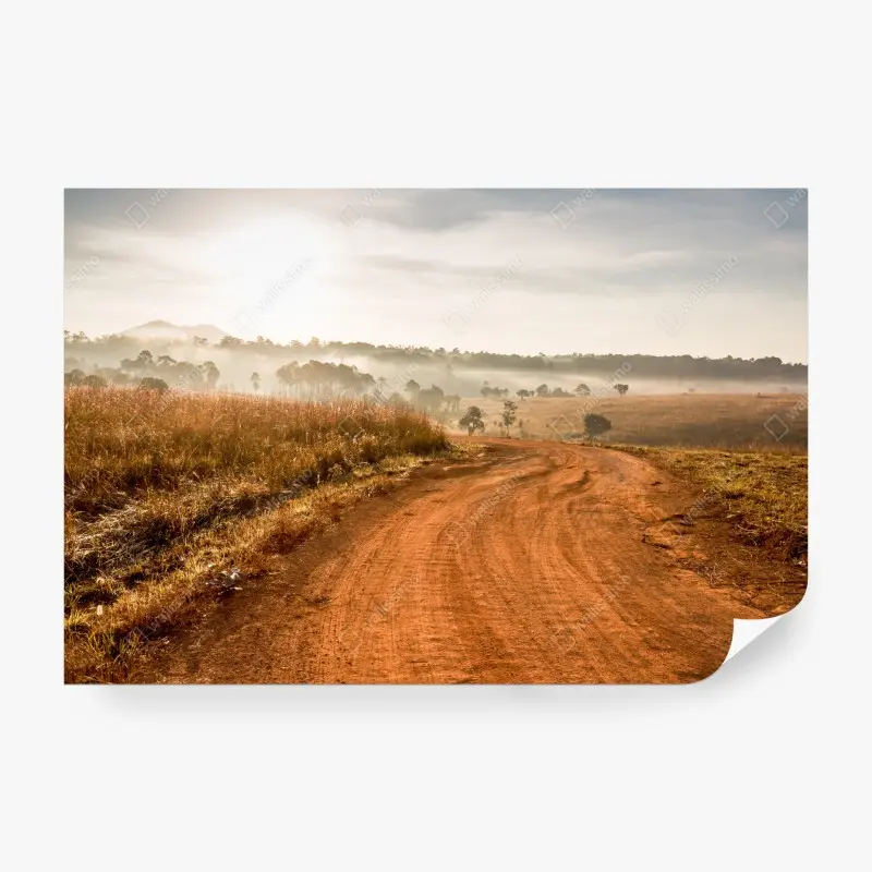 Fototapete morgendlicher feldweg in Thung Salaeng Luang