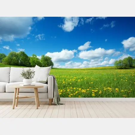Fototapete sonnige wiese mit löwenzahn und blauem himmel – Pixers®