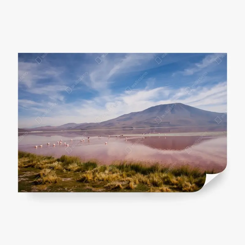 Fototapete rosa lagune mit flamingos und bergspiegelung