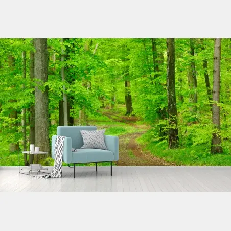 Fototapete ruhiger waldweg im frühling – Pixers®