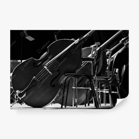 Fototapete monochrome kontrabässe im orchester – Pixers®