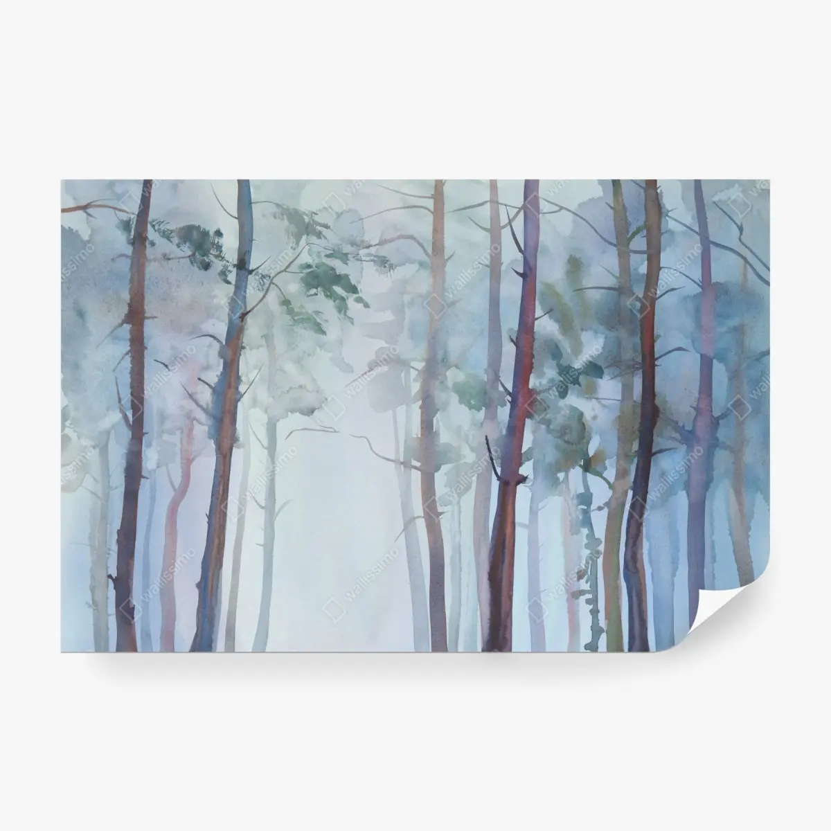 Fototapete nebliger aquarellwald – Pixers®