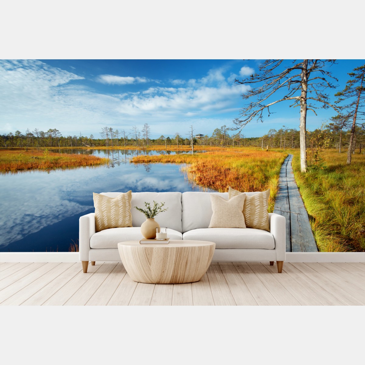 Fototapete herbststeg über ruhigem moor – Pixers®