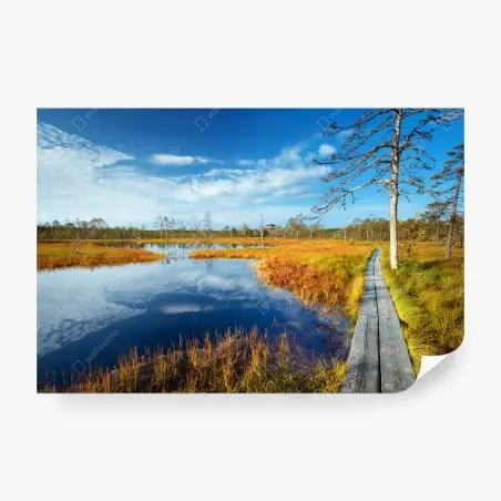 Fototapete herbststeg über ruhigem moor – Pixers®