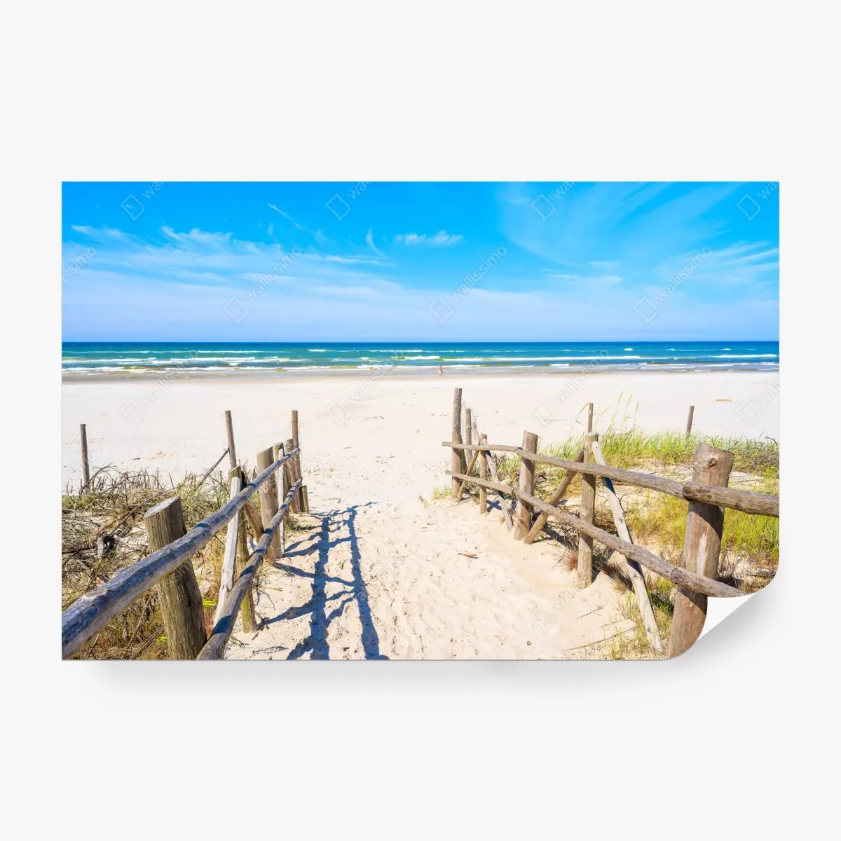 Fototapete eingang zum Strand von Debki an der Ostsee – Pixers®