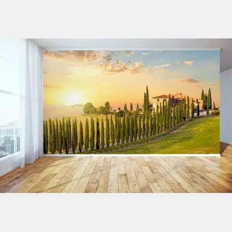 Fototapete Toskana sonnenuntergang zypressenallee – Pixers®