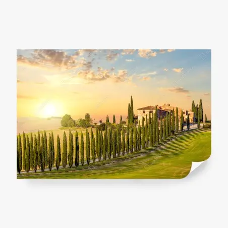 Fototapete Toskana sonnenuntergang zypressenallee – Pixers®