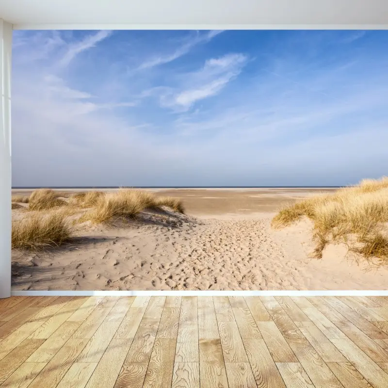 Fototapete ruhige dünen an der deutschen küste