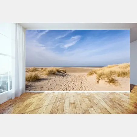 Fototapete ruhige dünen an der deutschen küste – Pixers®