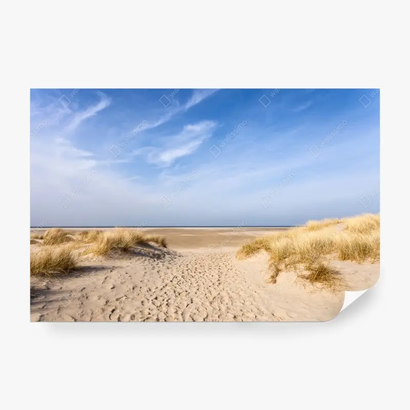 Fototapete ruhige dünen an der deutschen küste