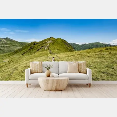 Fototapete gewundener wanderweg im Zillertal – Pixers®
