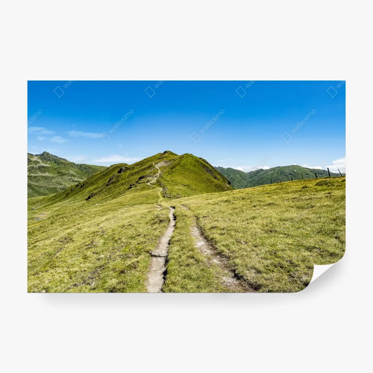 Fototapete gewundener wanderweg im Zillertal – Pixers®