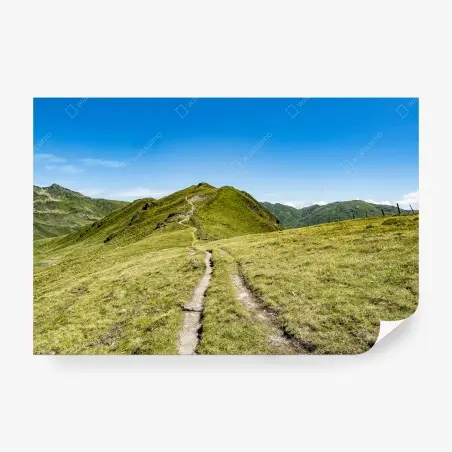 Fototapete gewundener wanderweg im Zillertal – Pixers®
