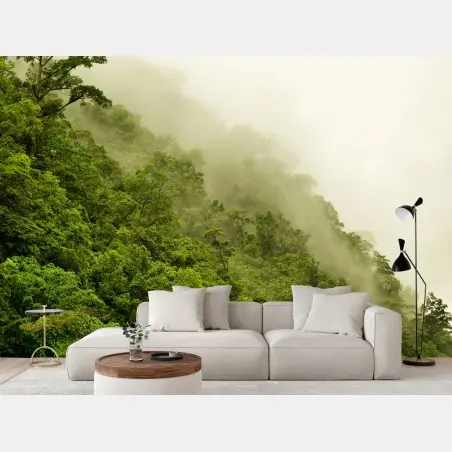 Fototapete nebeliger regenwald bei Cairns – Pixers®
