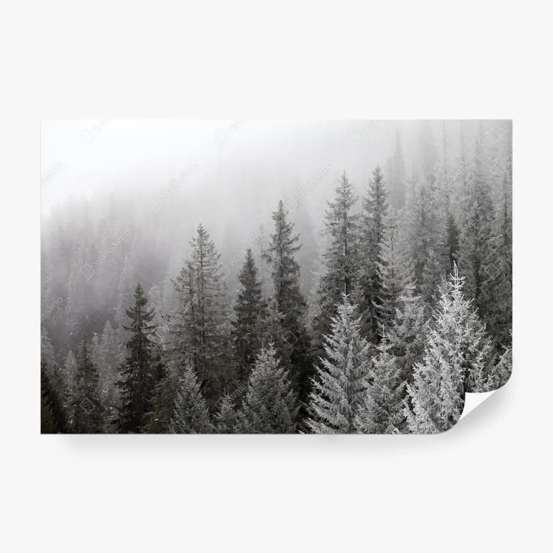 Fototapete nebliger winterwald in den Karpaten