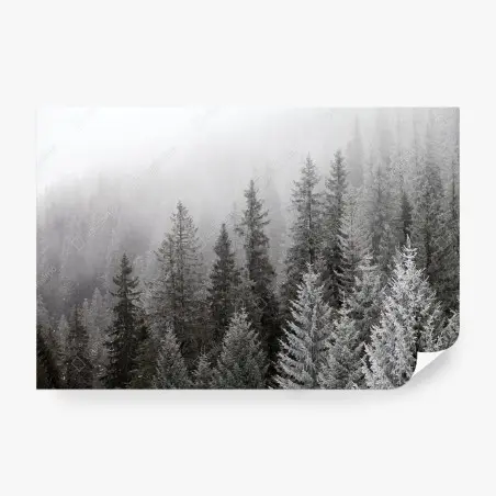 Fototapete nebliger winterwald in den Karpaten – Pixers®