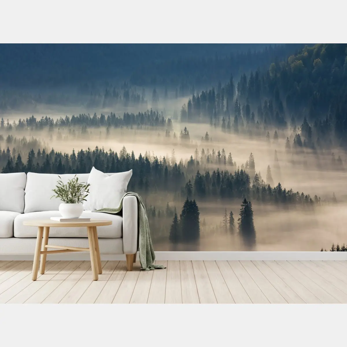 Fototapete nebliger nadelwald im morgengrauen – Pixers®