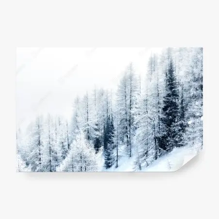 Fototapete winterstille: verschneiter wald – Pixers®