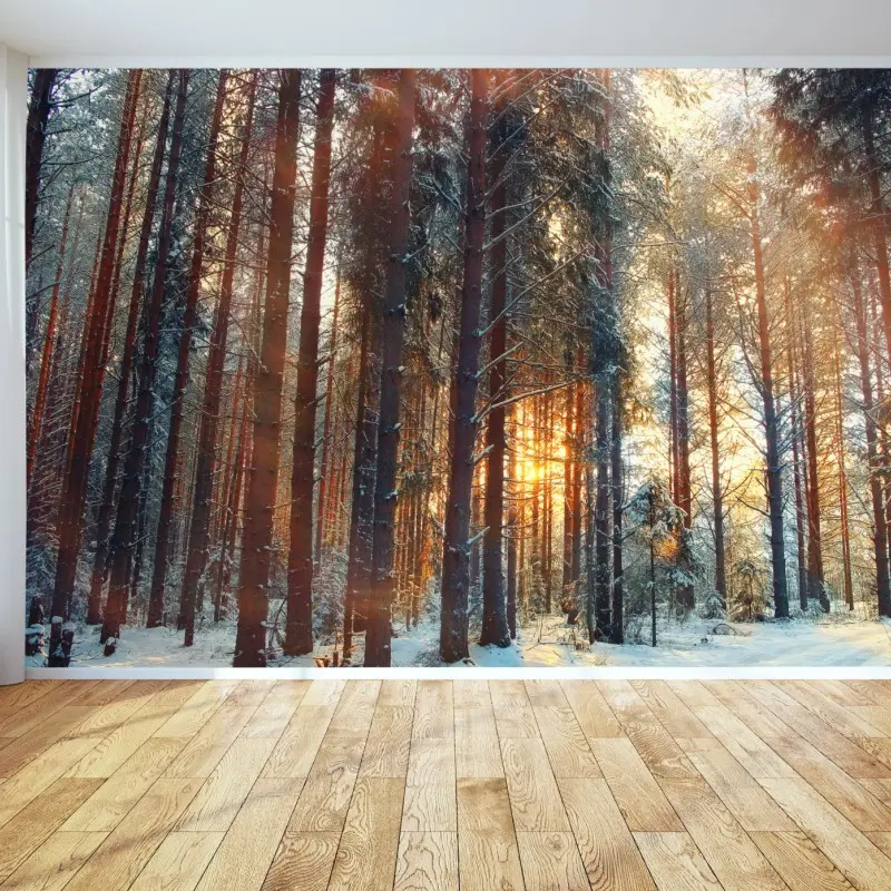 Fototapete winterwald im morgendlichen licht